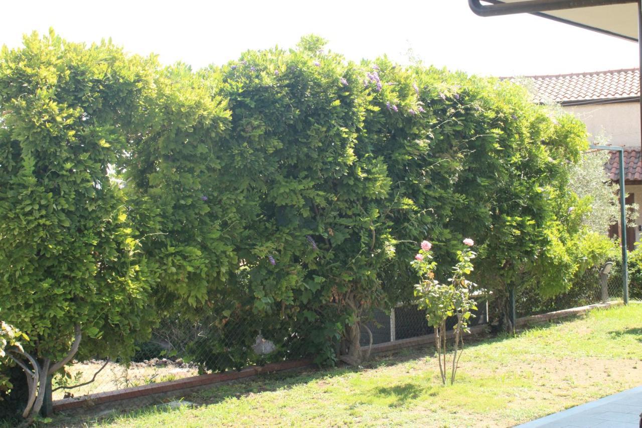 Villa Sicilia Apartment Catania Bagian luar foto