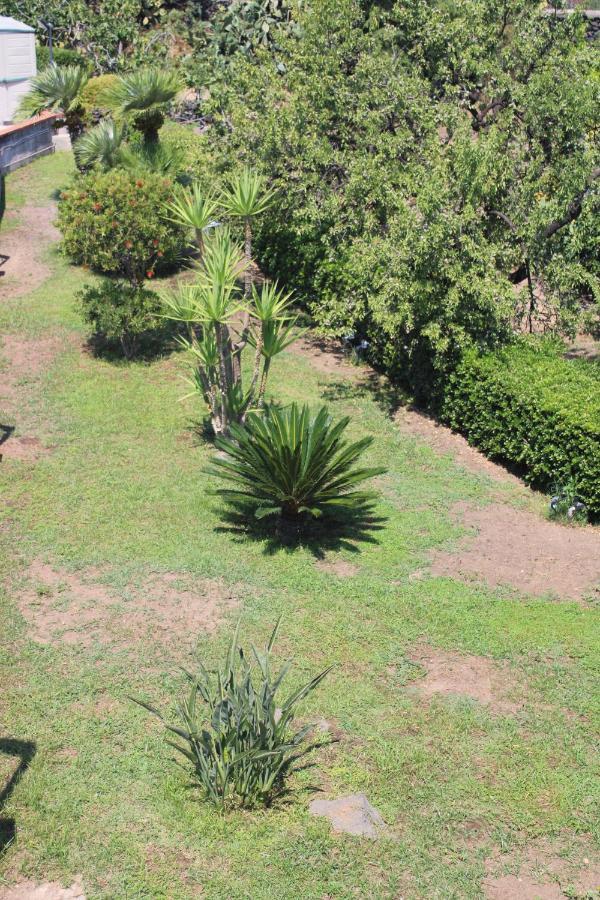 Villa Sicilia Apartment Catania Bagian luar foto