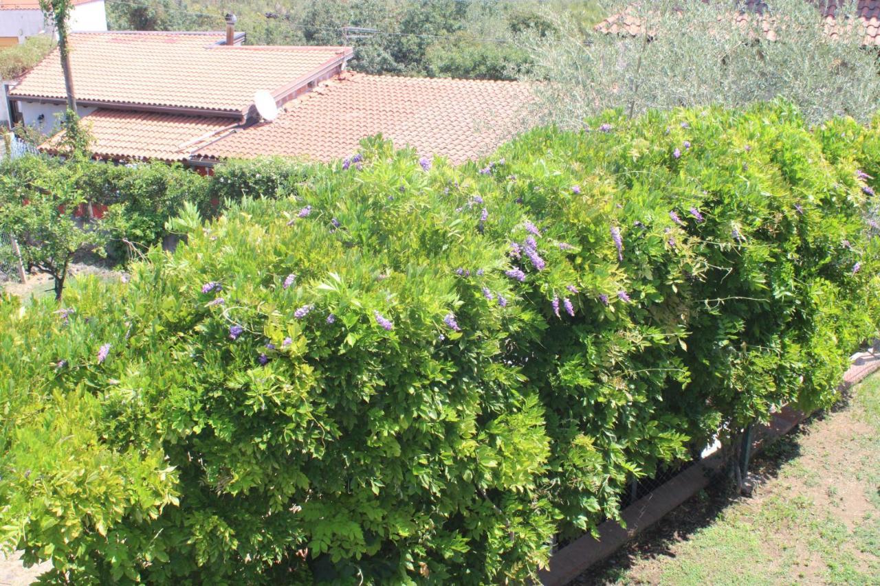 Villa Sicilia Apartment Catania Bagian luar foto